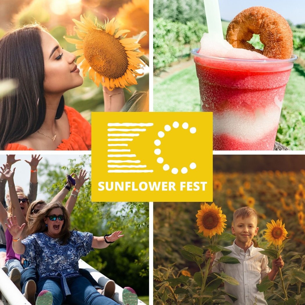KC Sunflower Fest 1