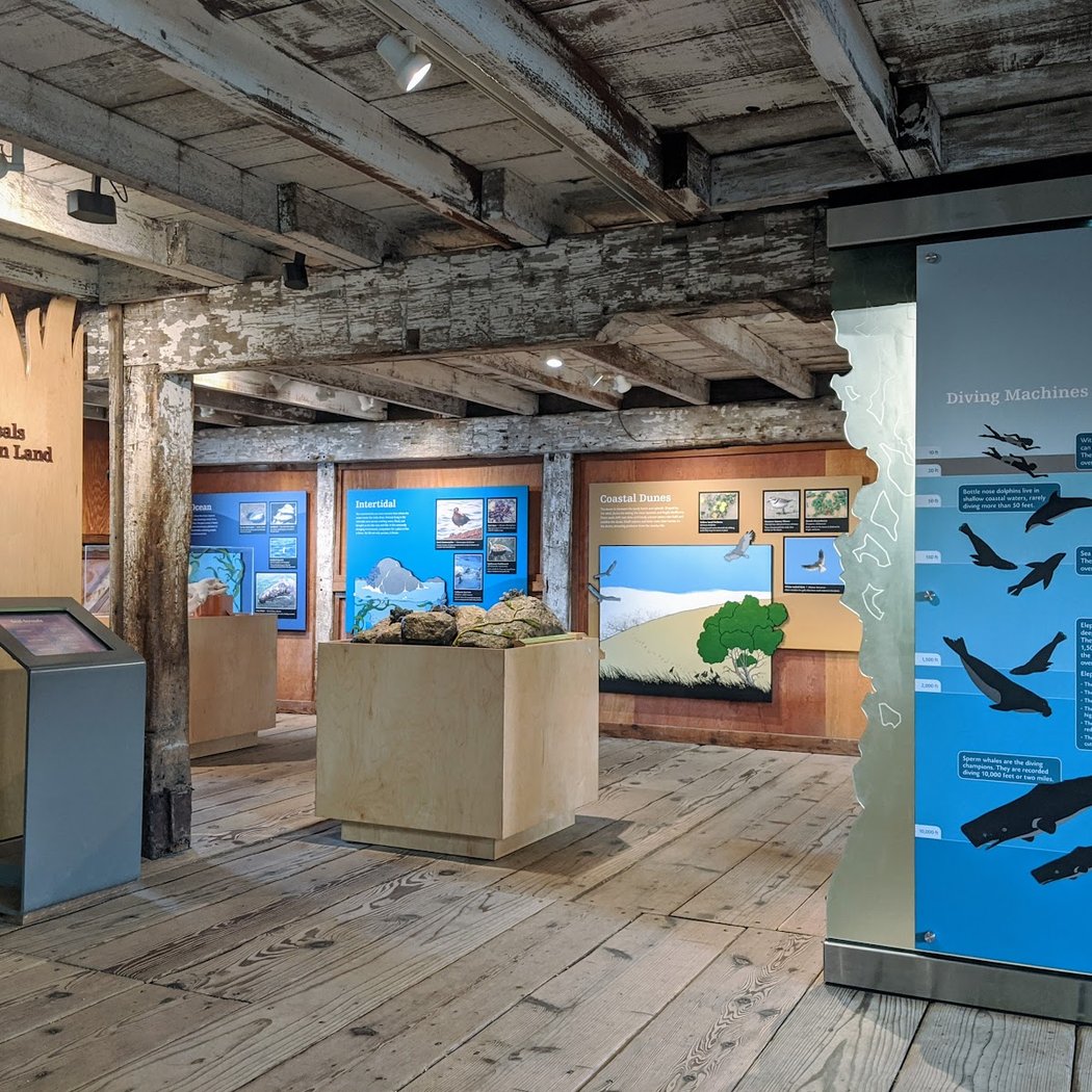 Marine Education Center 3