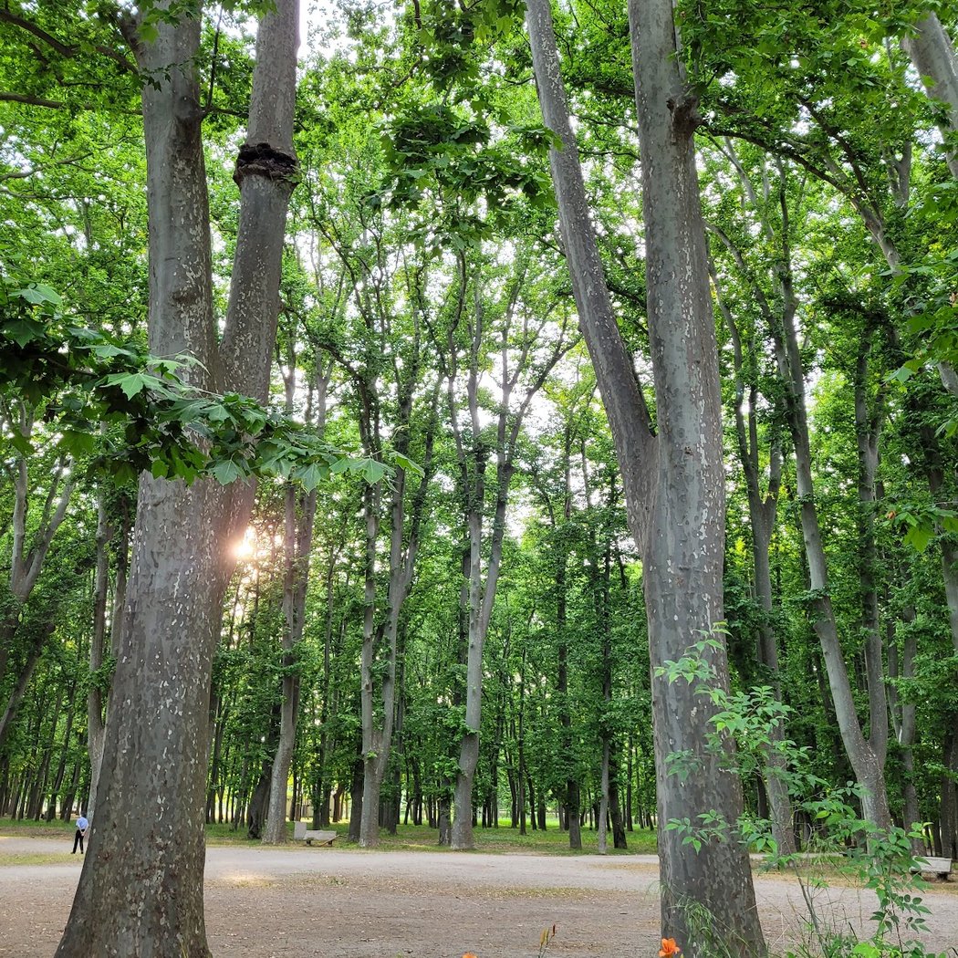Parc de la Devesa 2