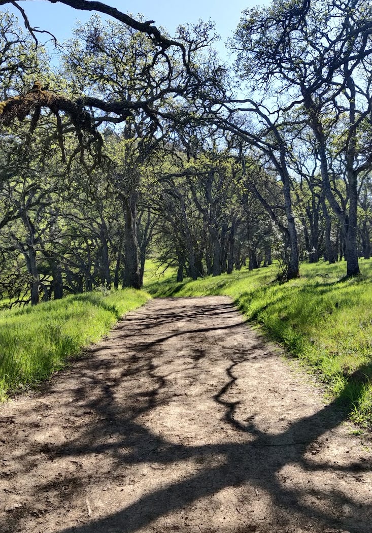 Eagle Peak Trail 3