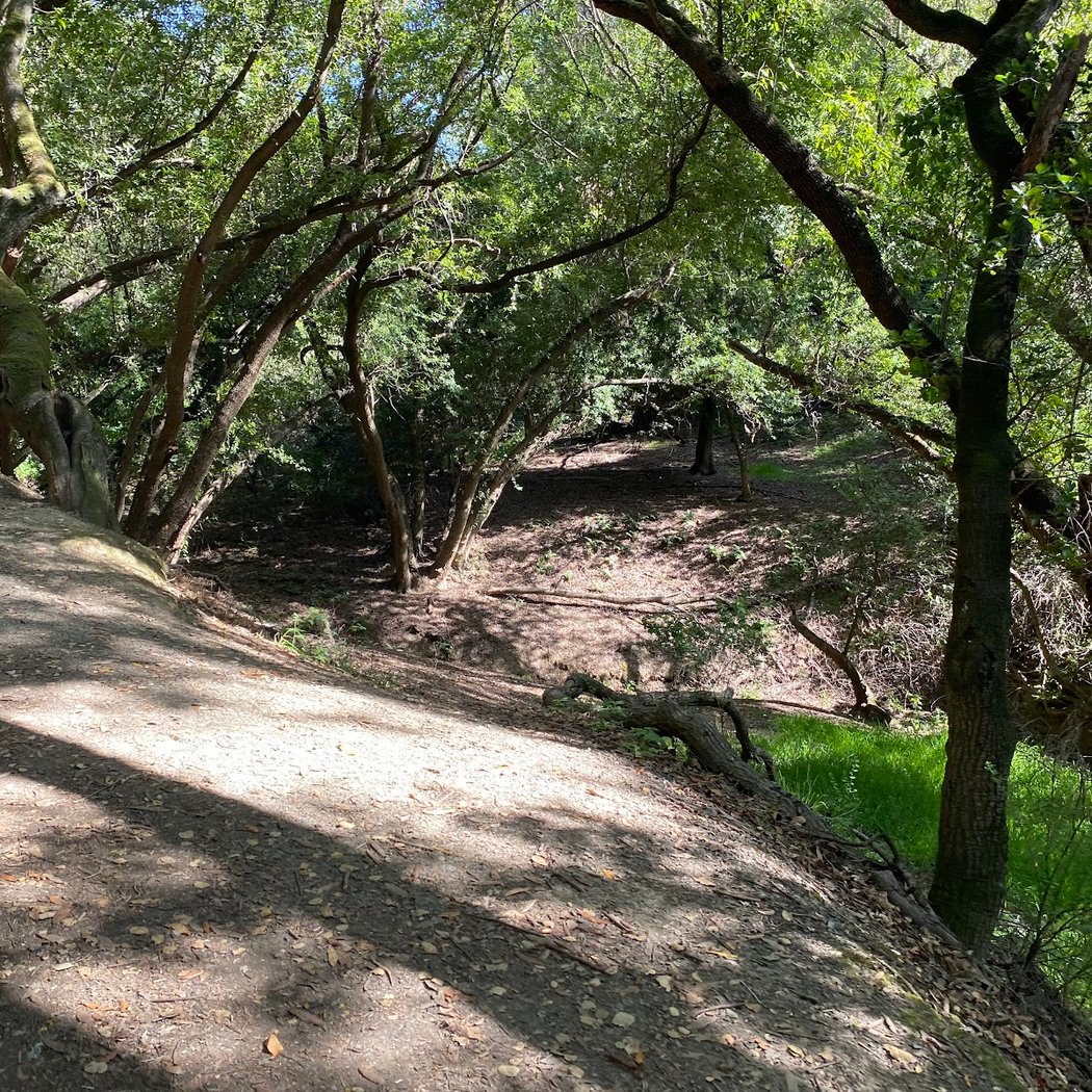 Ward Creek Trail Head 1