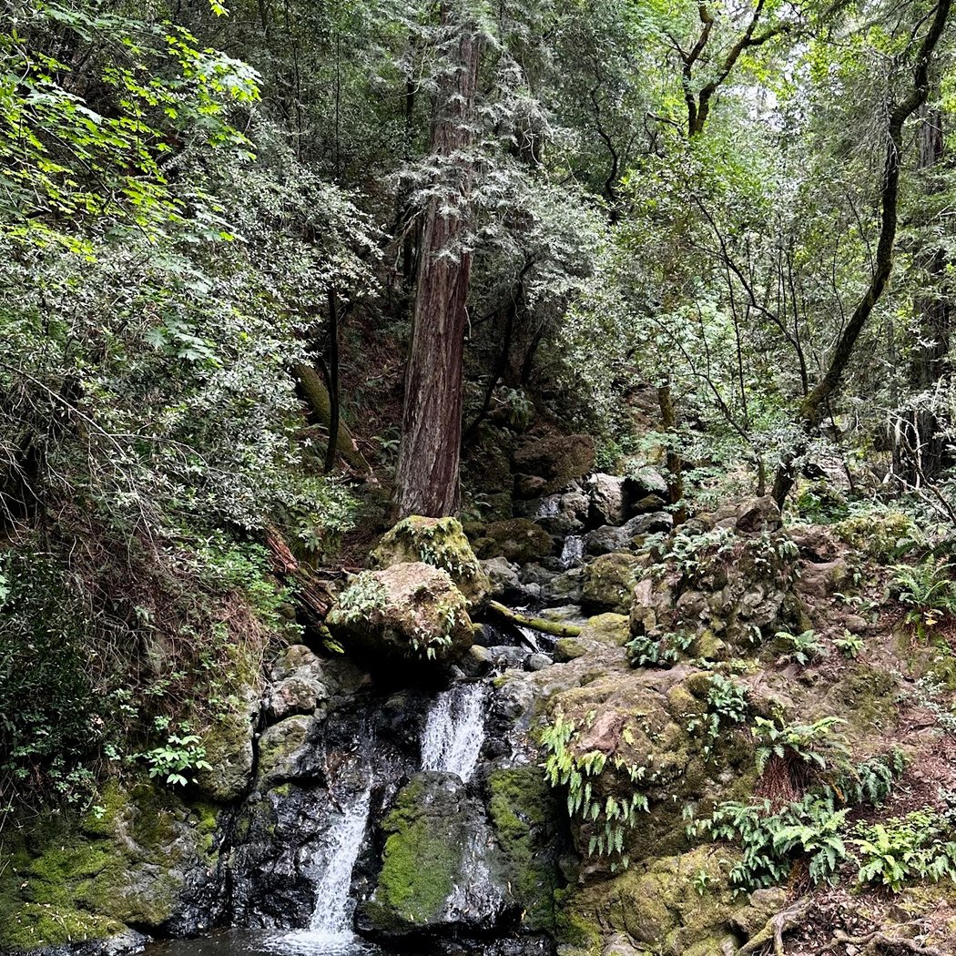 First Day Hike 2