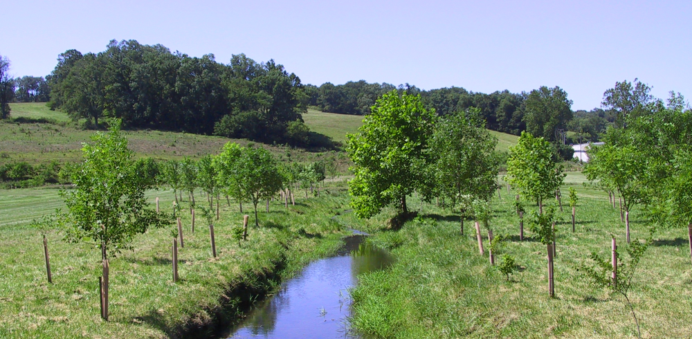 Wildlands Conservancy Stream Team Volunteer at Saucon Park 4