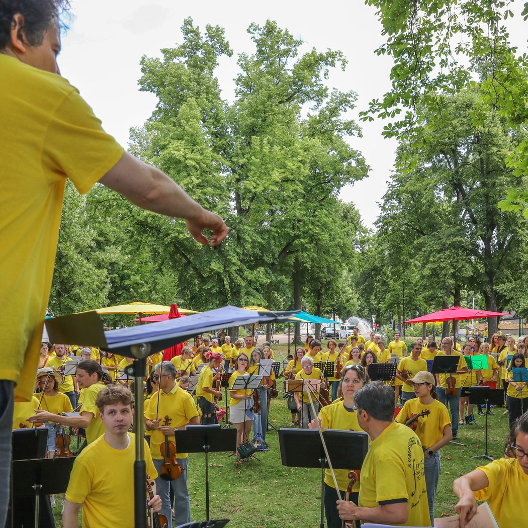 Colmar Symphonic Mob 2