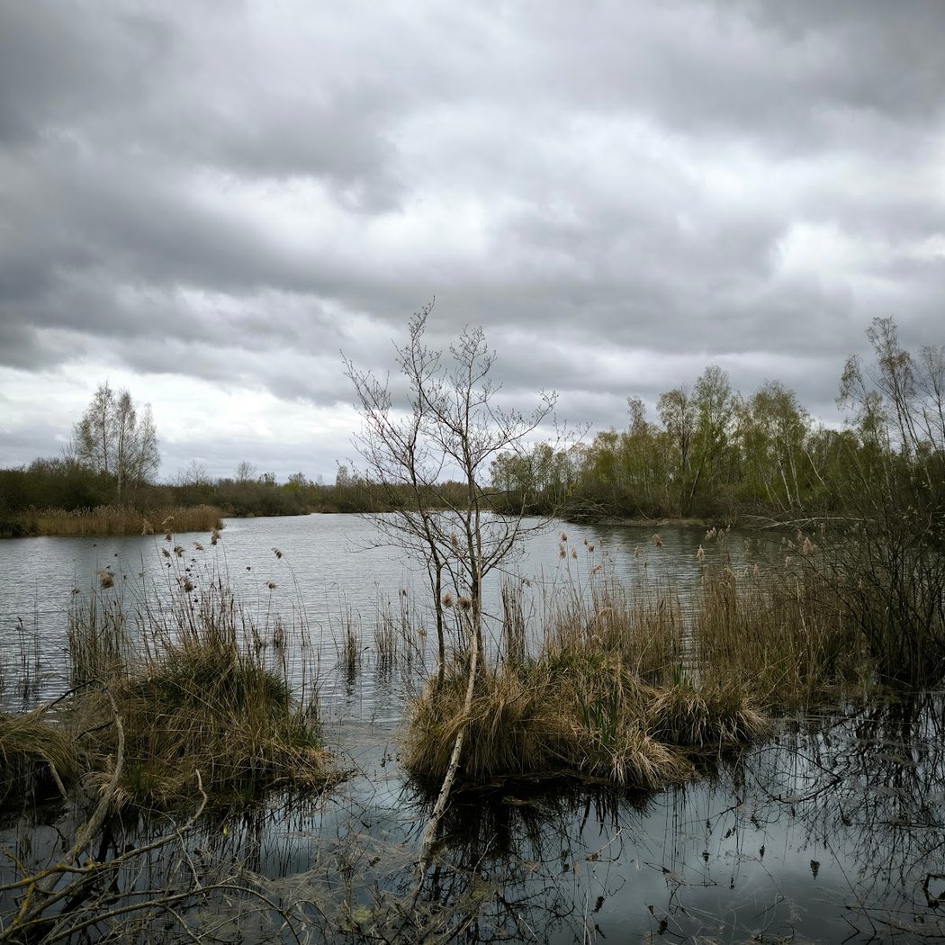Marais d'Episy (Espace Naturel Sensible, pêche strictement interdite) 3