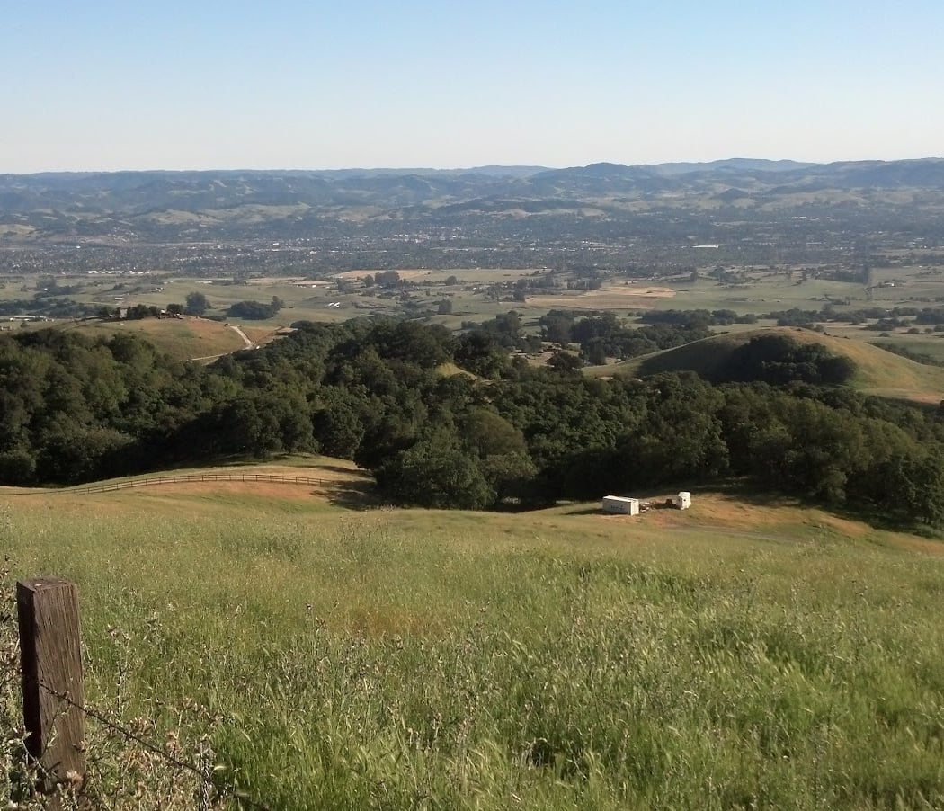 Sonoma Mountain 2