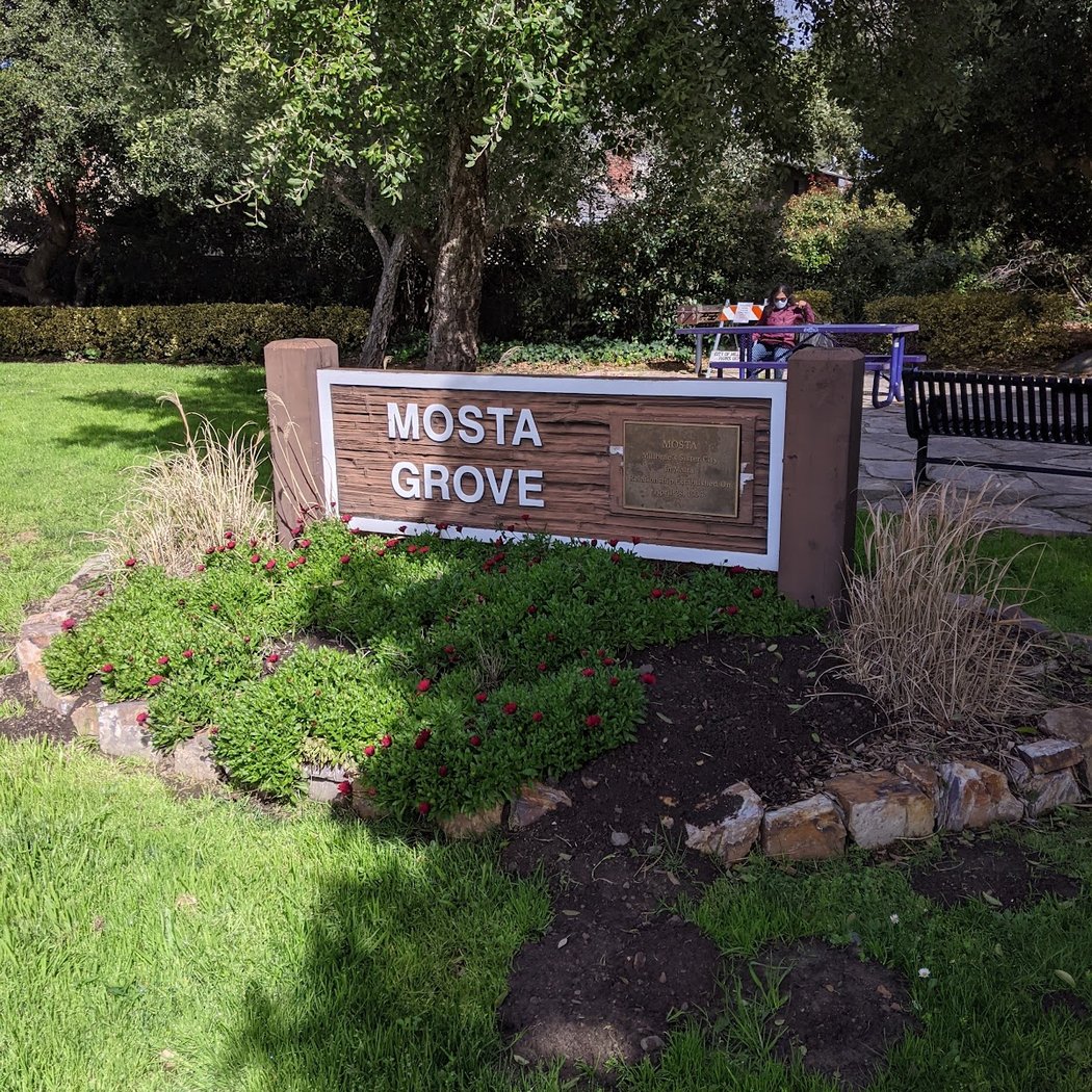 Mosta Grove 2