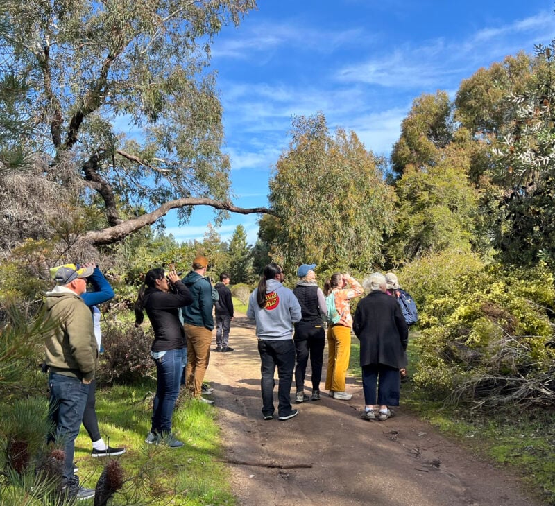First Saturday Tour at the Santa Cruz Arboretum