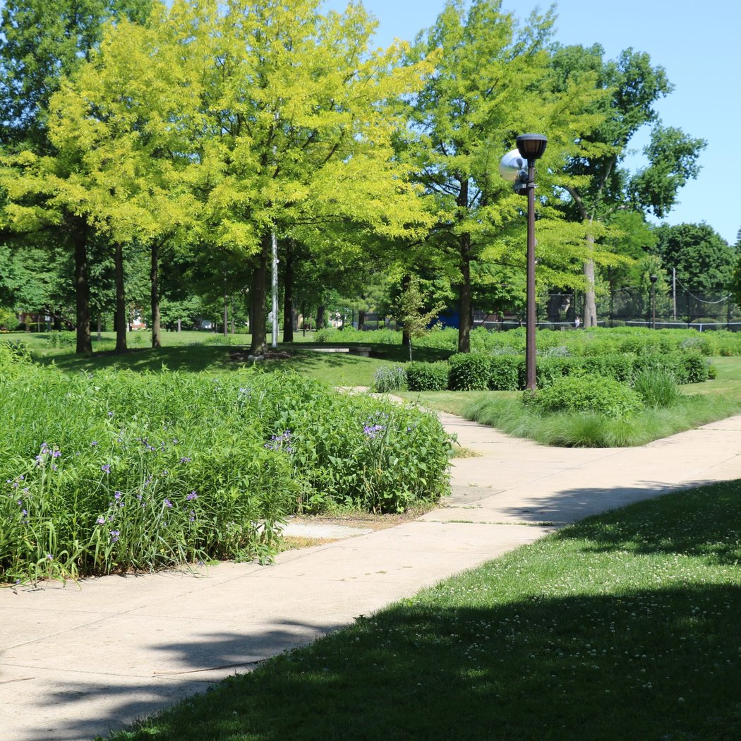 Lindberg Park 1