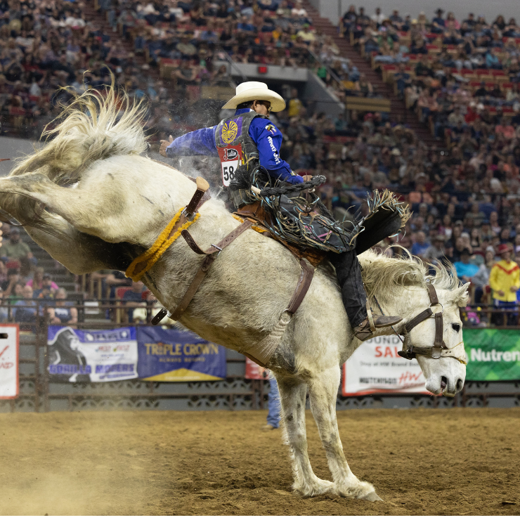 PRCA Championship Rodeo 1