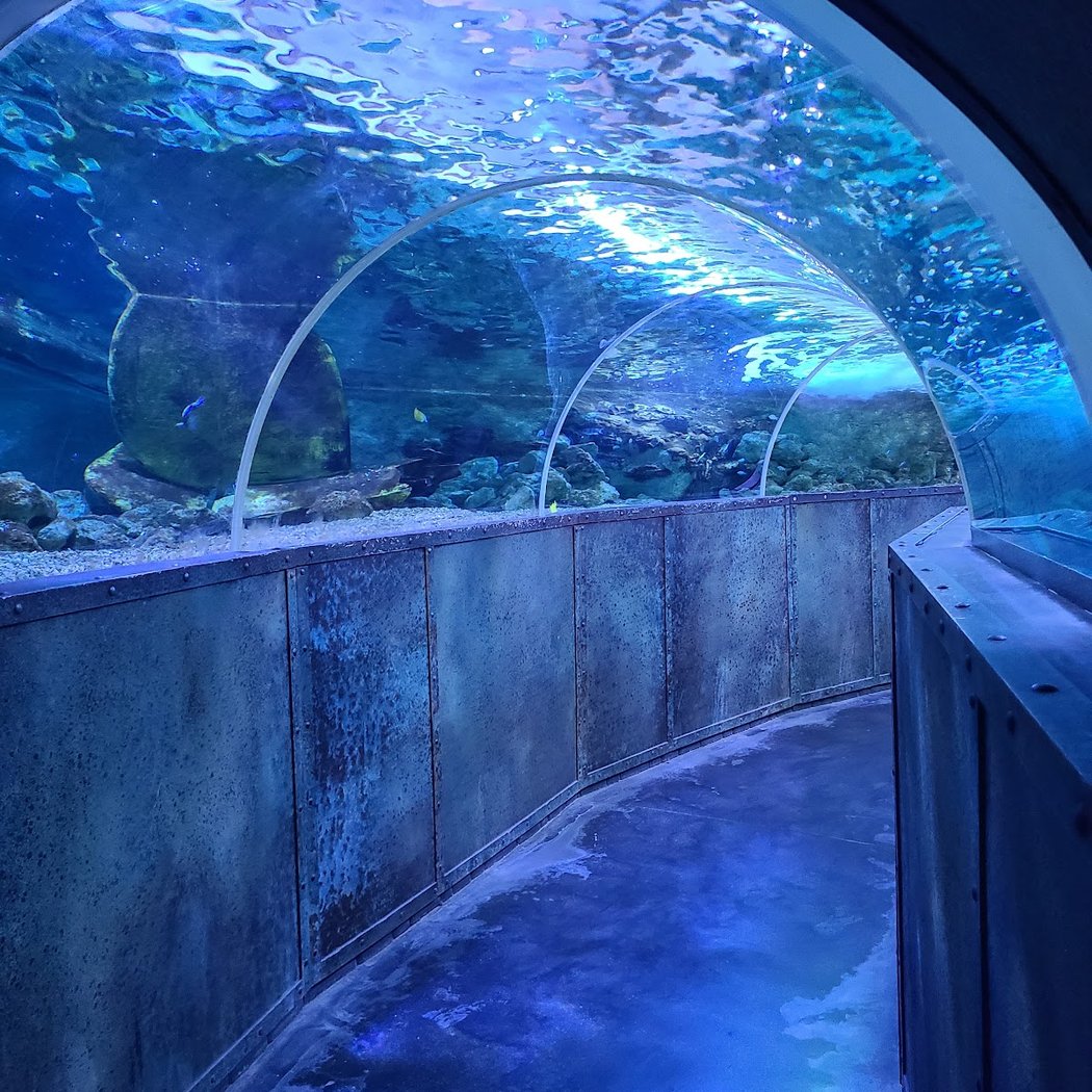 Grand Aquarium de Touraine 3