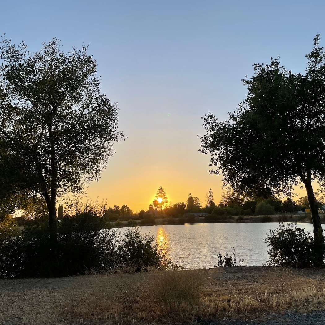 Dr. Robert Gross Ponds 2