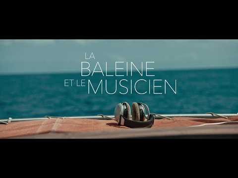 Ciné-Rencontre : La Baleine et le Musicien