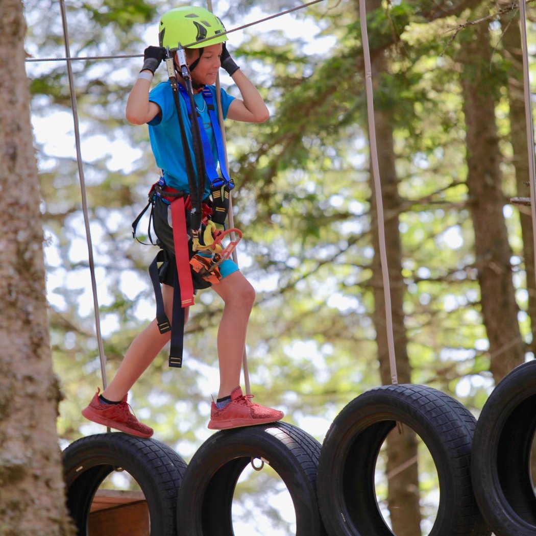 TimberTop Adventures 1