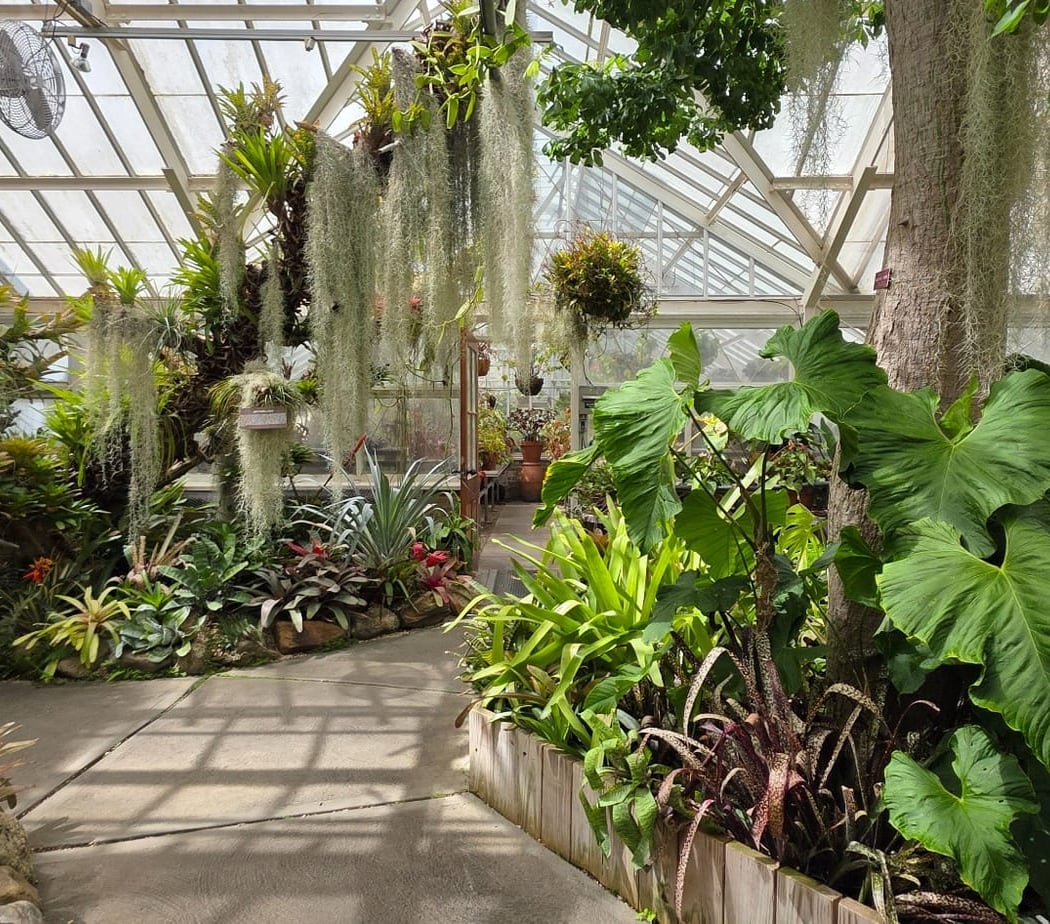 Planting Fields Road 2