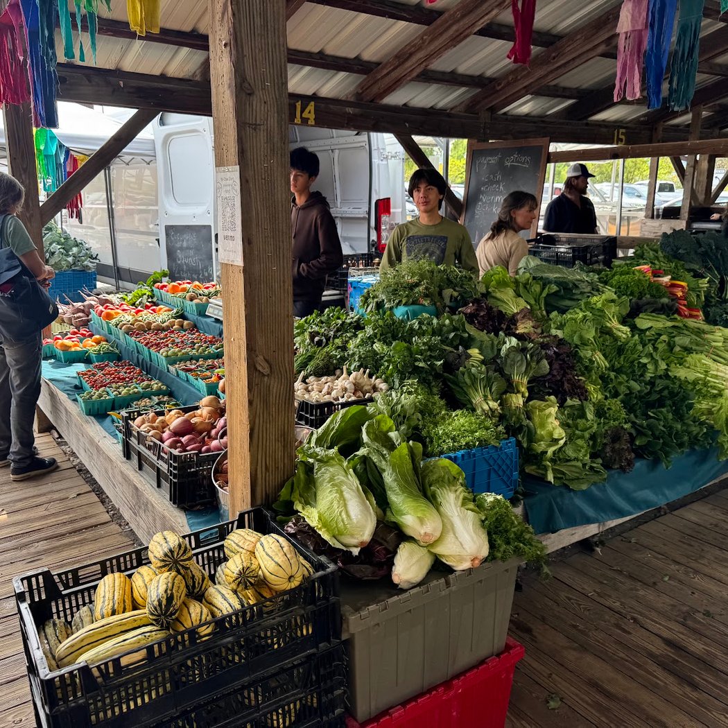 Ithaca Farmers Market 3