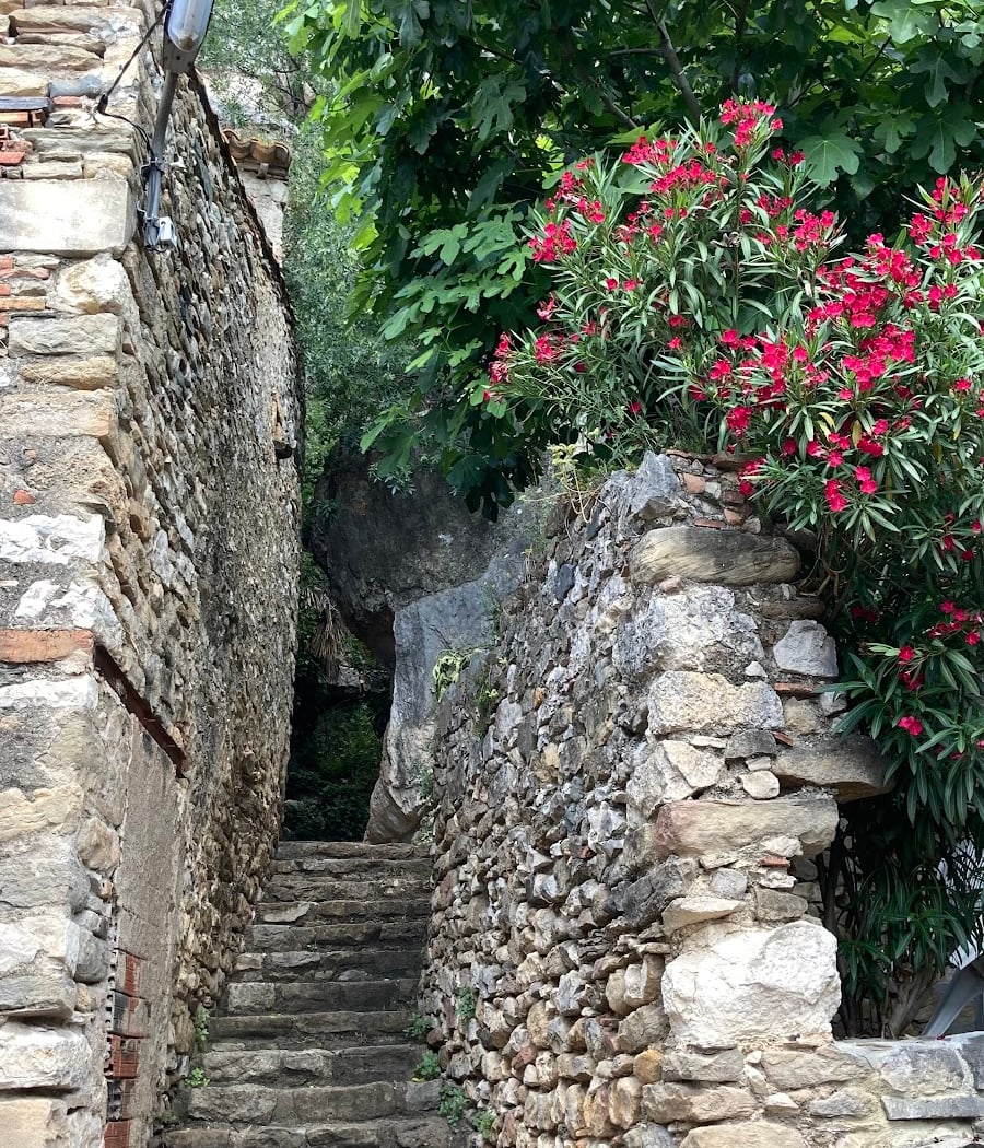 La Caunette 1
