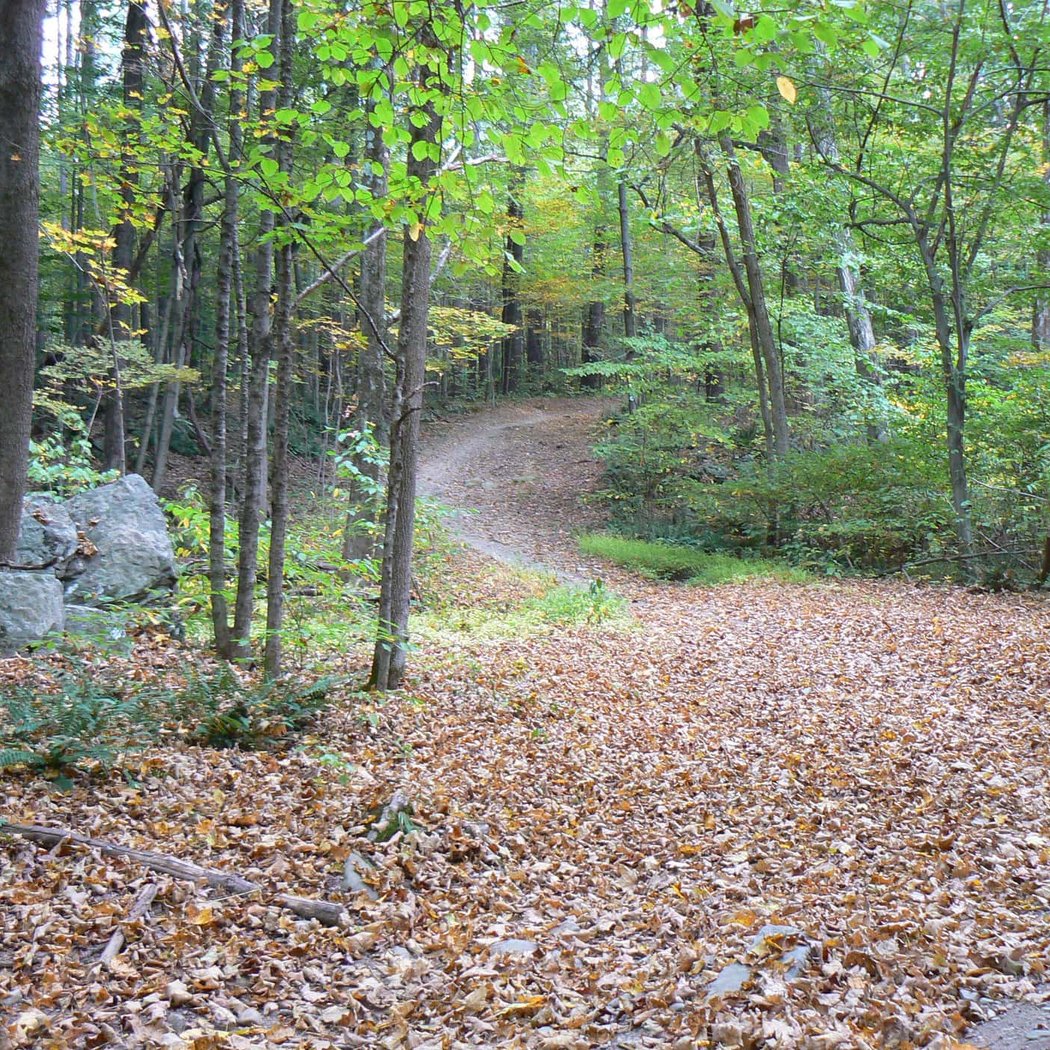 Riverfront Park 2