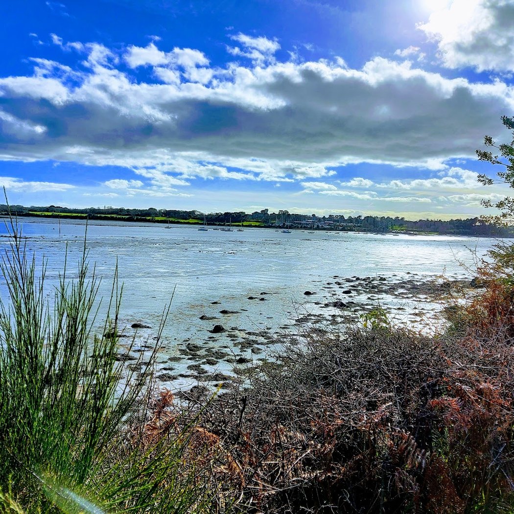 Parc du Golfe 1