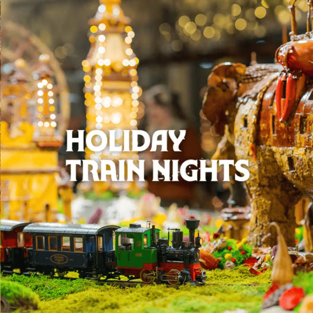 Holiday Train Show 2