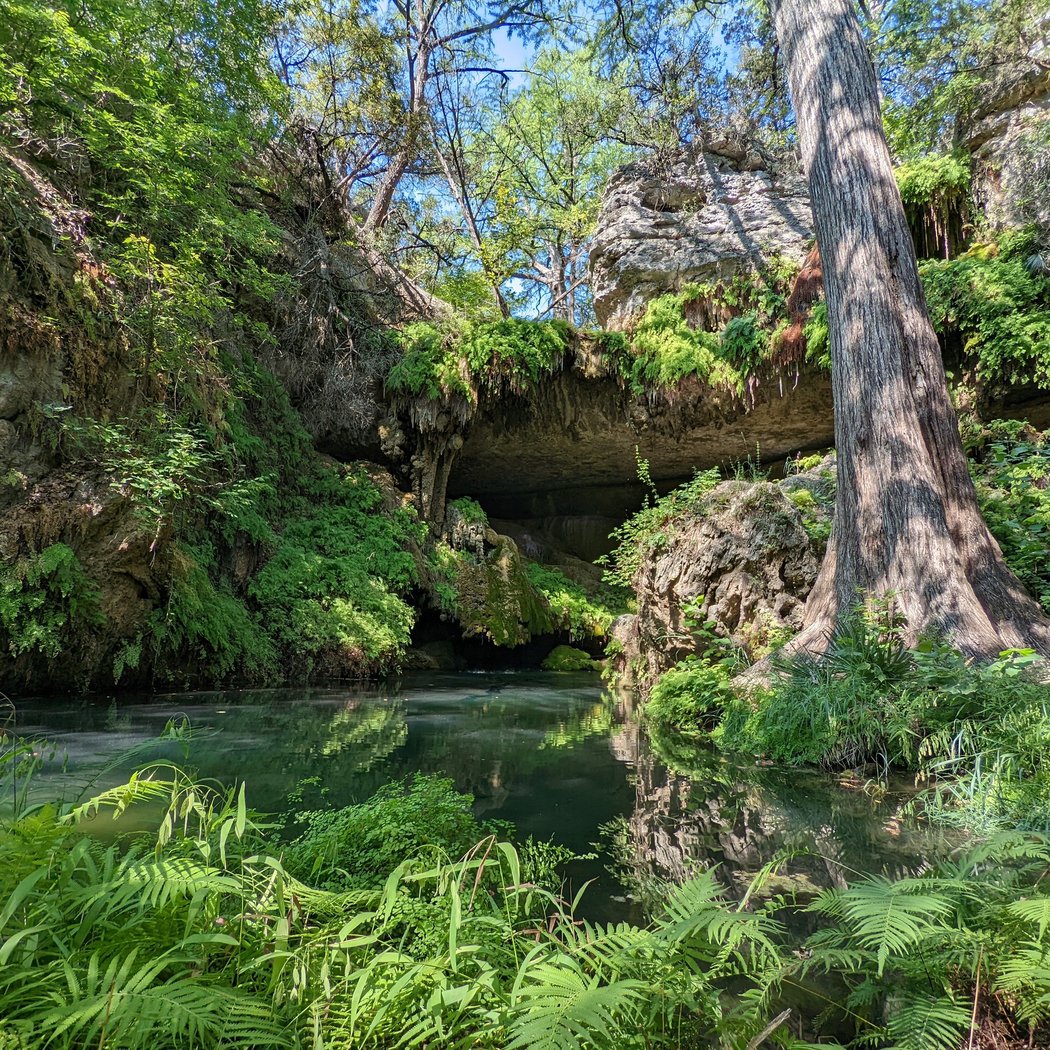 Westcave Outdoor Discovery Center 4