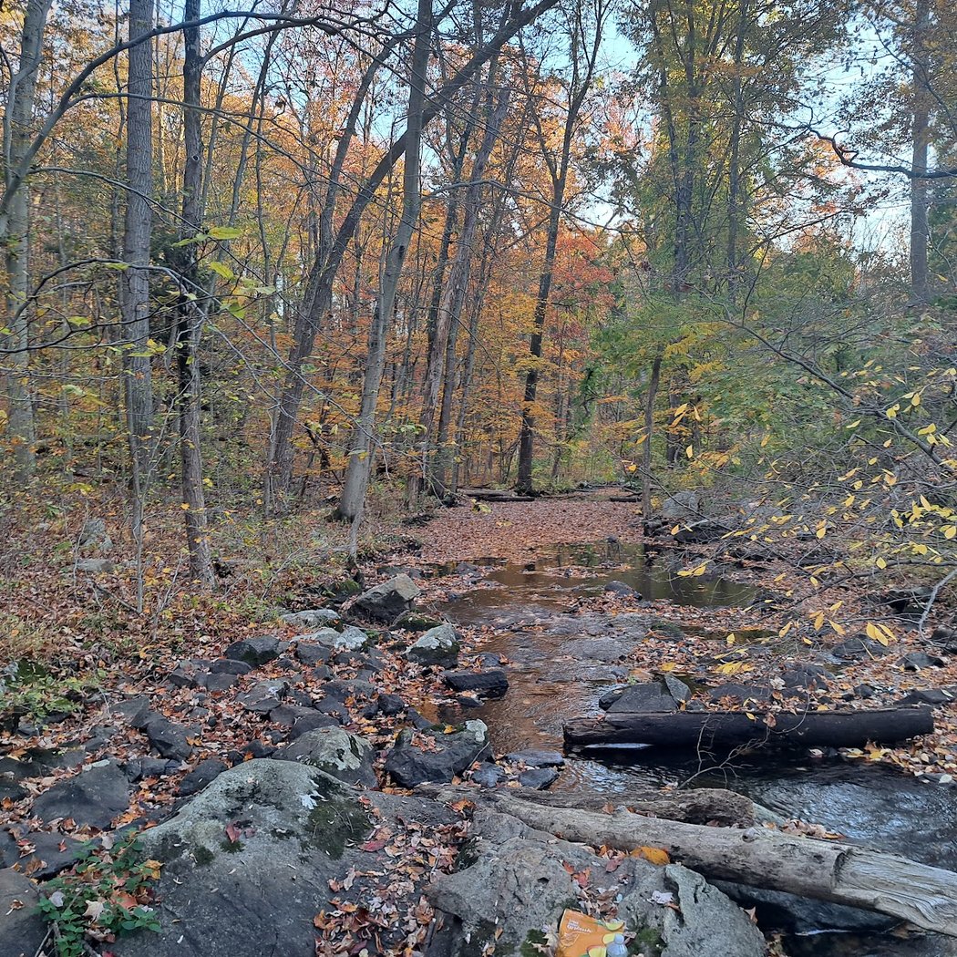 Hudson Highlands Gateway Park Overlook Pond Trailhead 2