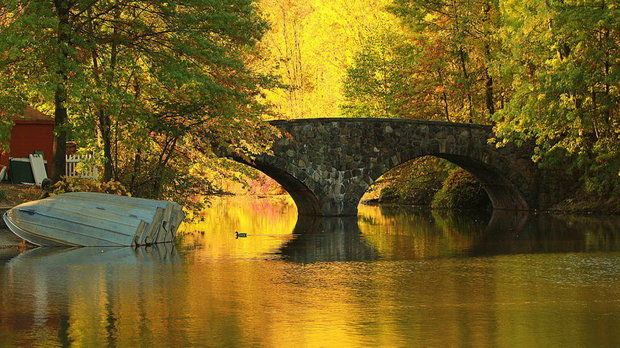 Urban Park Rangers Extended Hikes 3