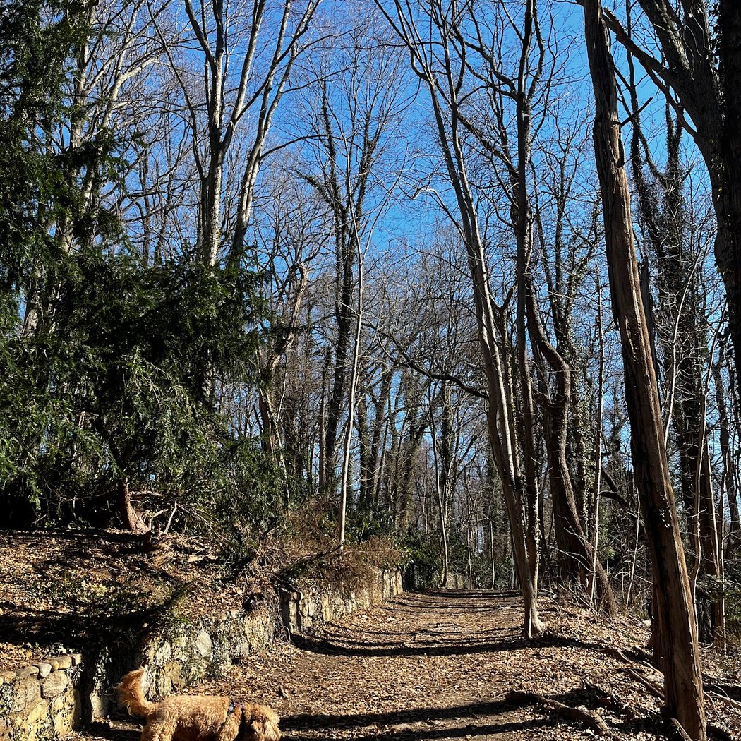 Coffin Woods 3