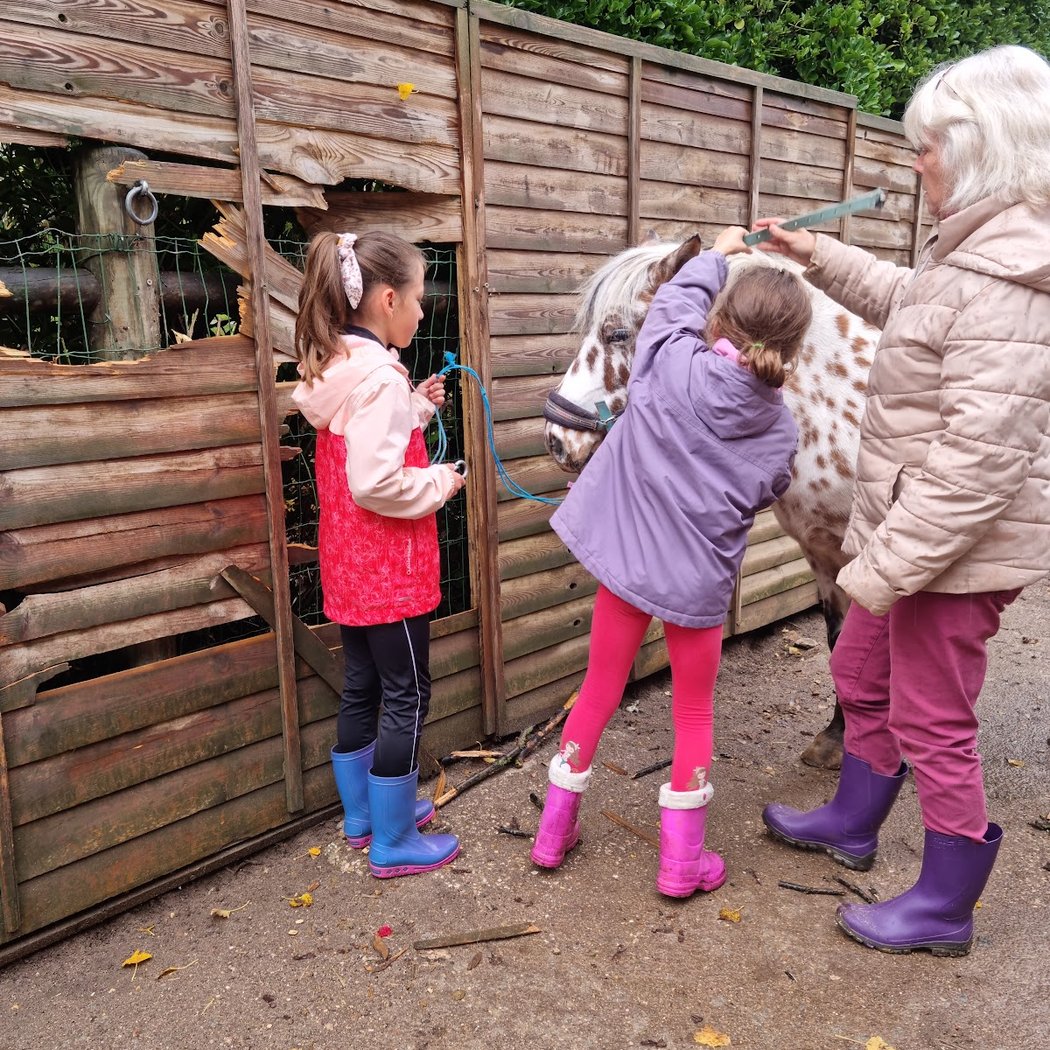 Association NaturAnimale : stages/ateliers enfants et adultes en Yvelines à Maisons-Laffitte 1