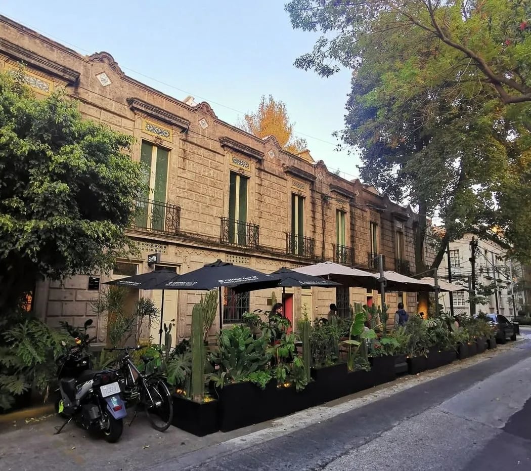 La Milla San Miguel Chapultepec 5