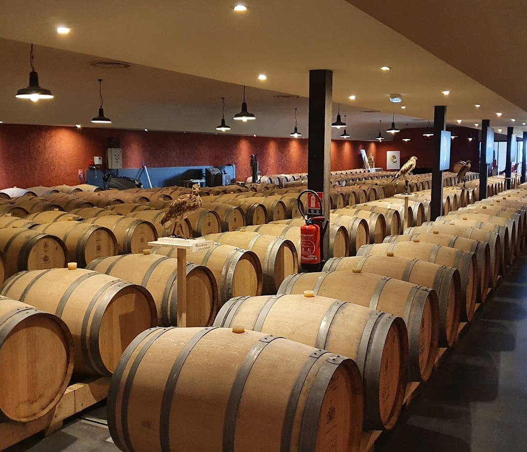 Château de Rayne-Vigneau 3