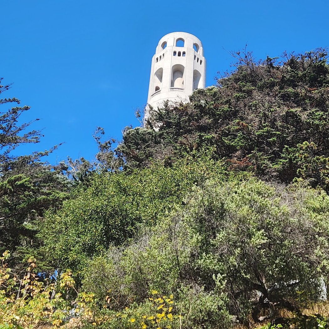 Filbert Stairs (to Coit Tower) 3