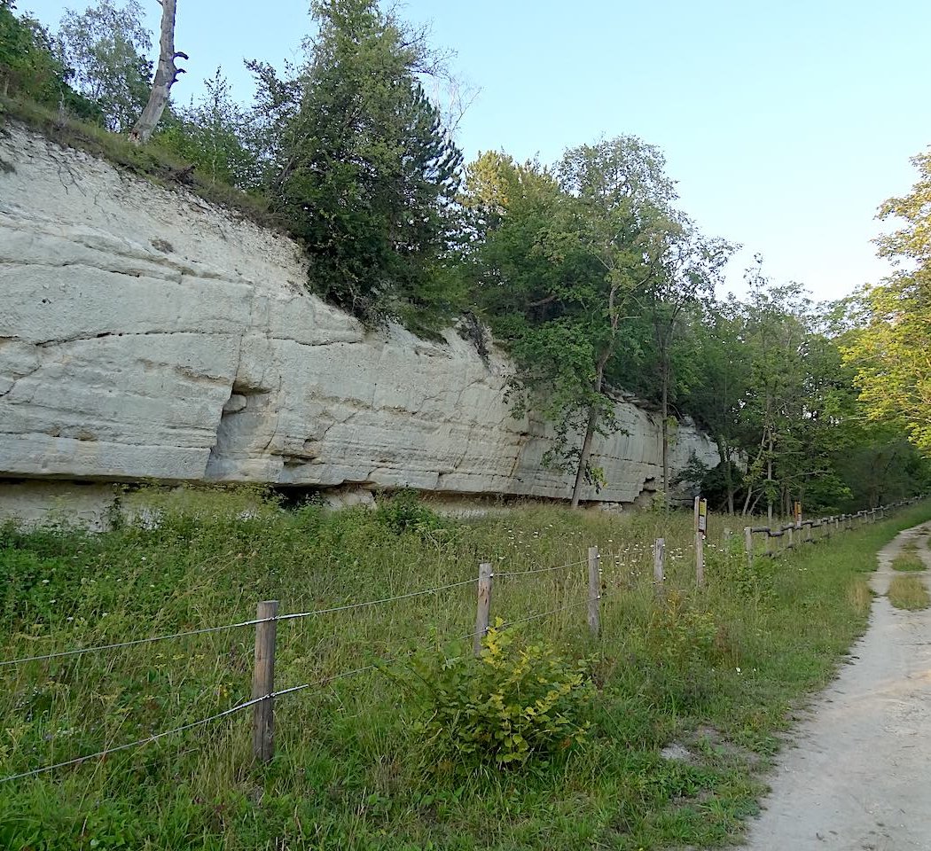 Réserve naturelle régionale du marais de Stors 2
