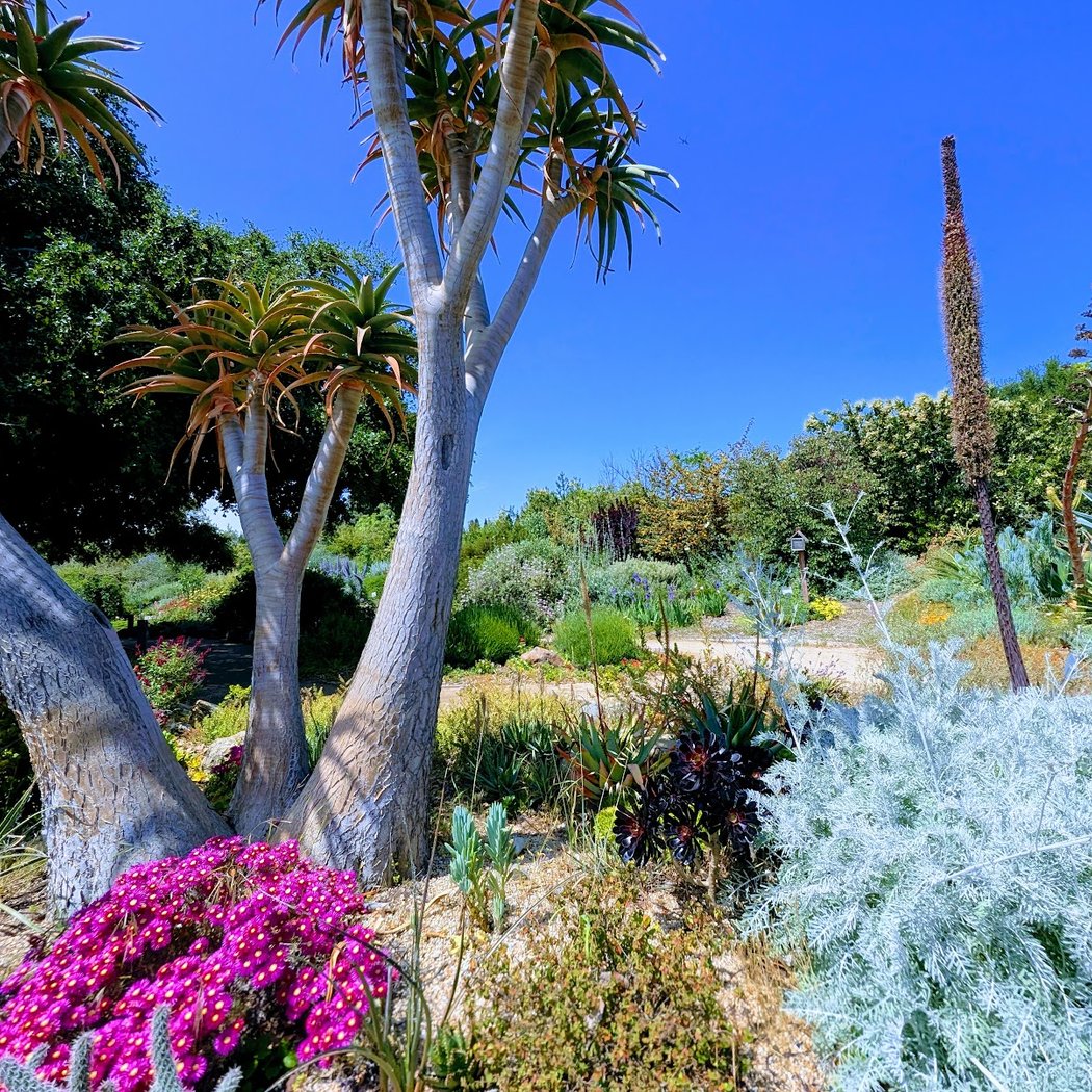 Quarry Lakes Demonstration Garden 2