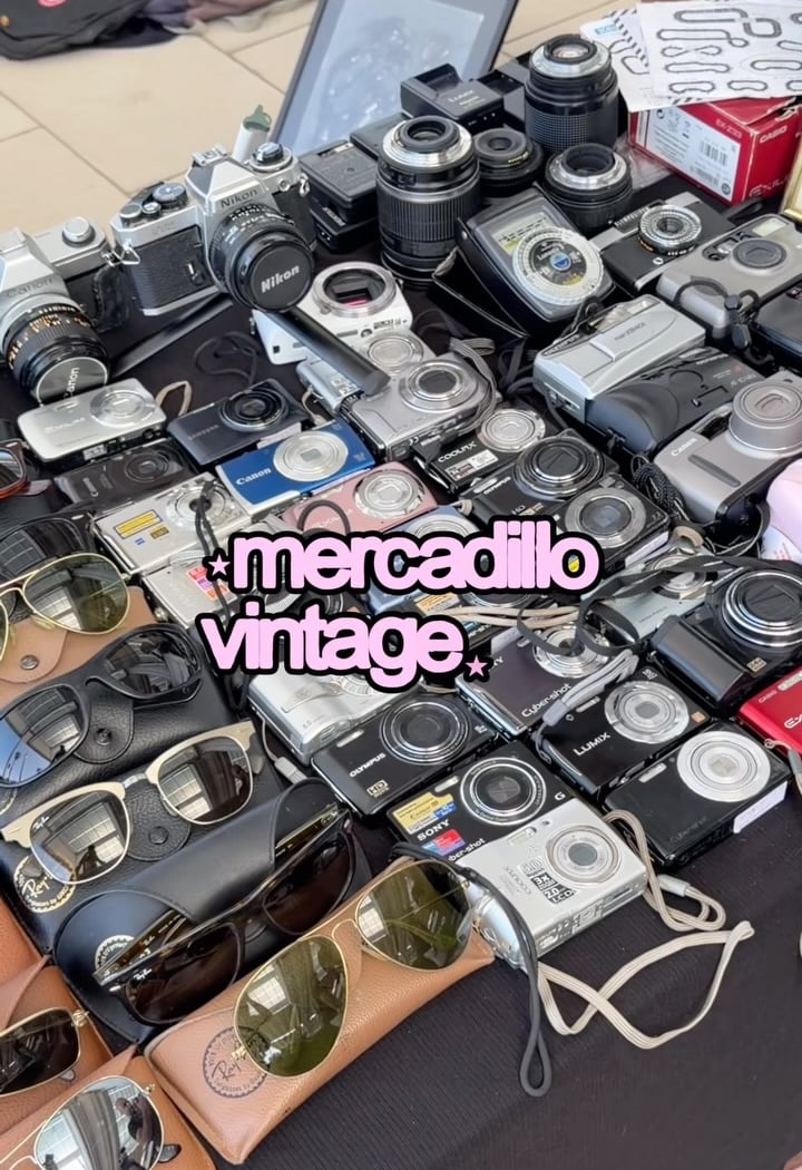 Port Flea 3