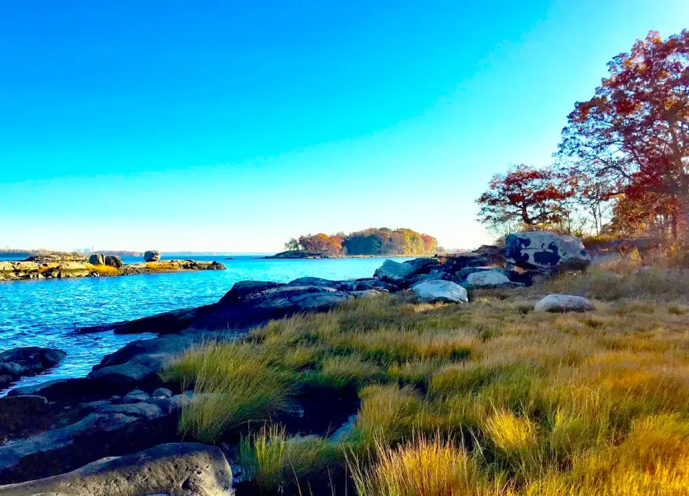 Pelham Bay Park 1