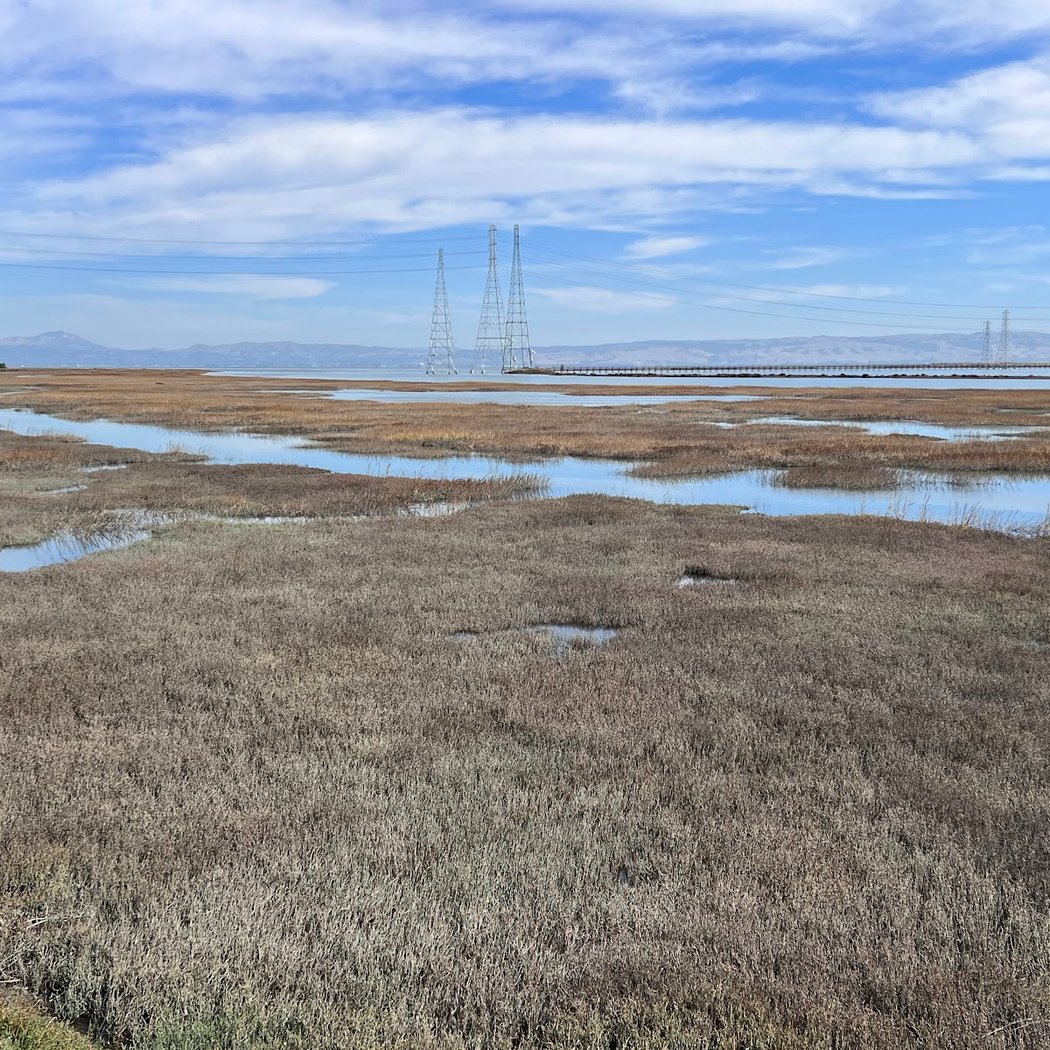 Restroom | Shorebird Park 3