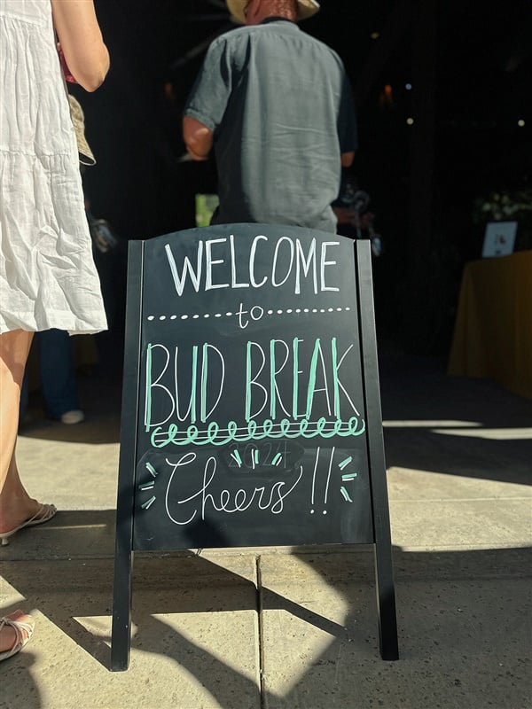 Bud Break Spring Release Party 1