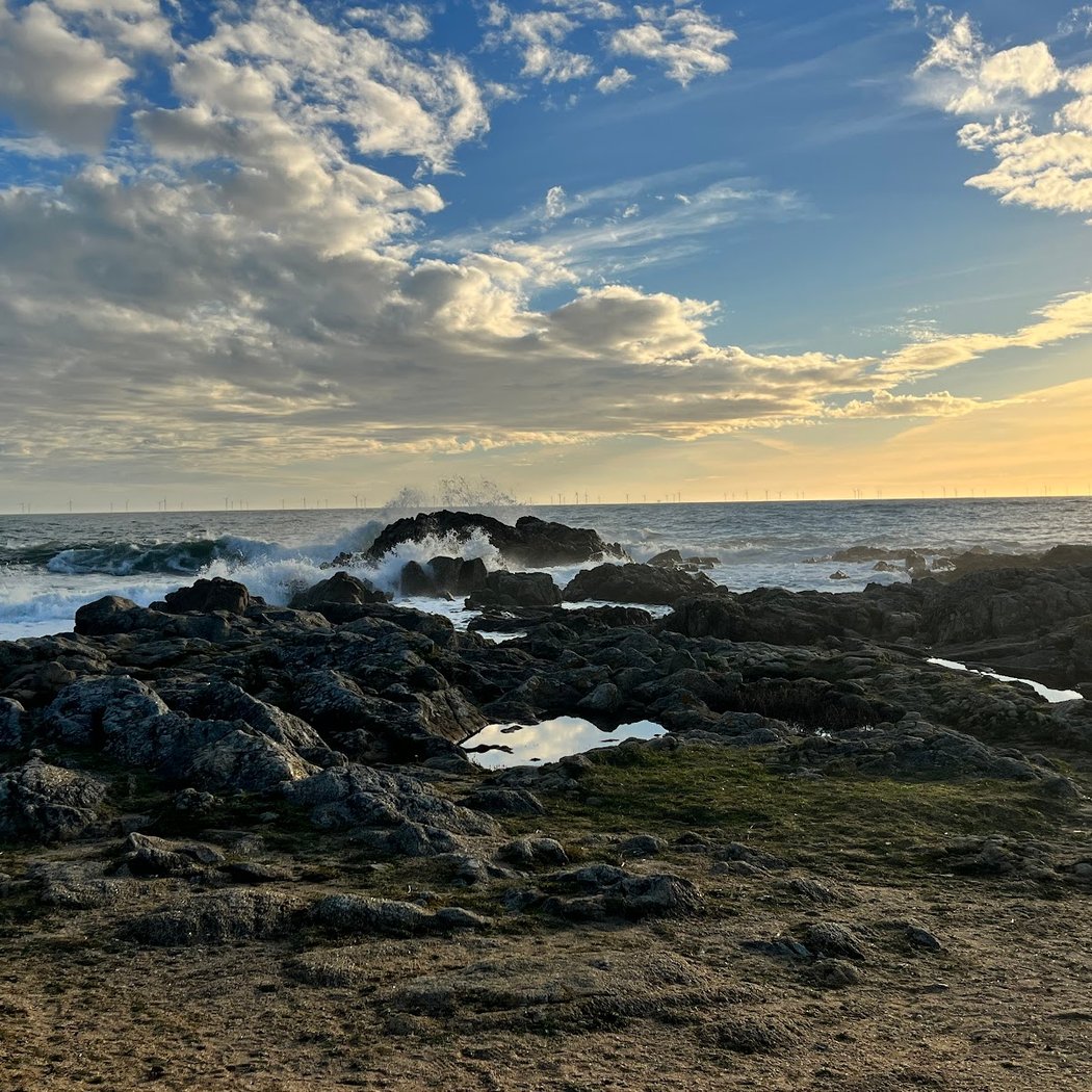 Entre plage et dunes 1