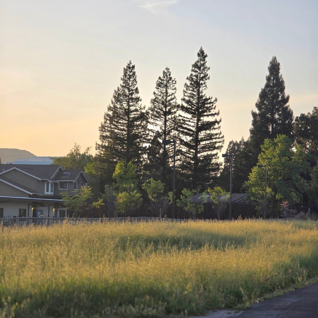 Iron Horse Trail 1