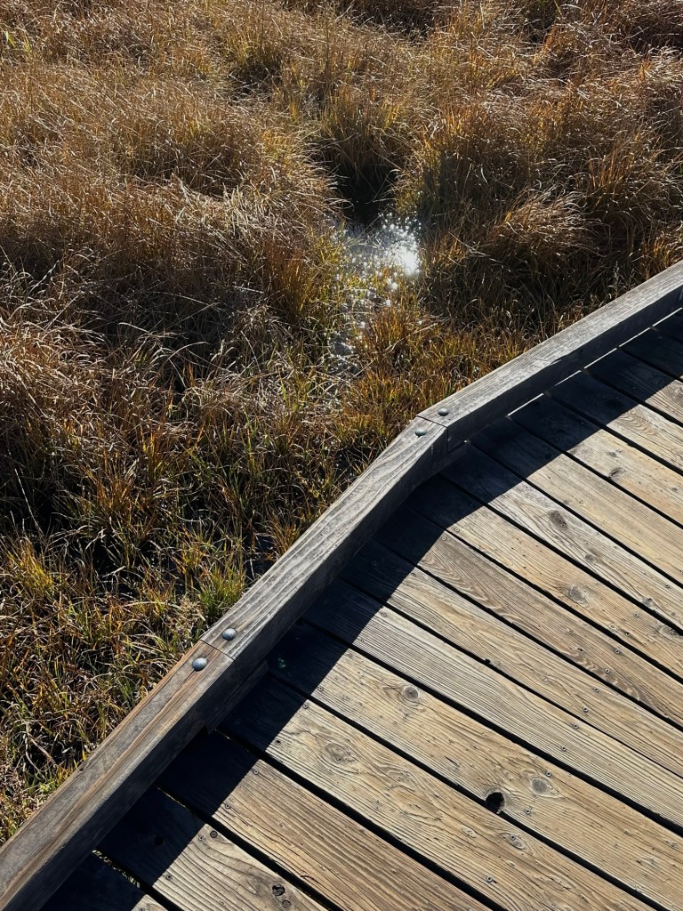 Taylor Creek Visitor Center 3