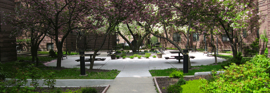 Dunolly Gardens Management Office 2