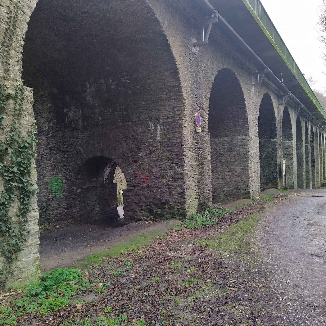 Promenade en bord du Gesvres 3