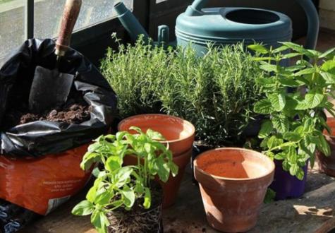 Atelier jardinage 1