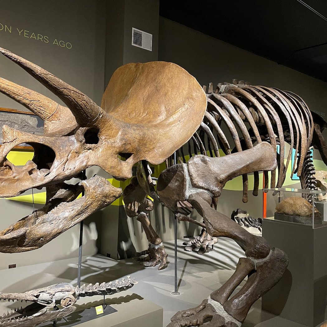 Buffalo Museum of Science 1