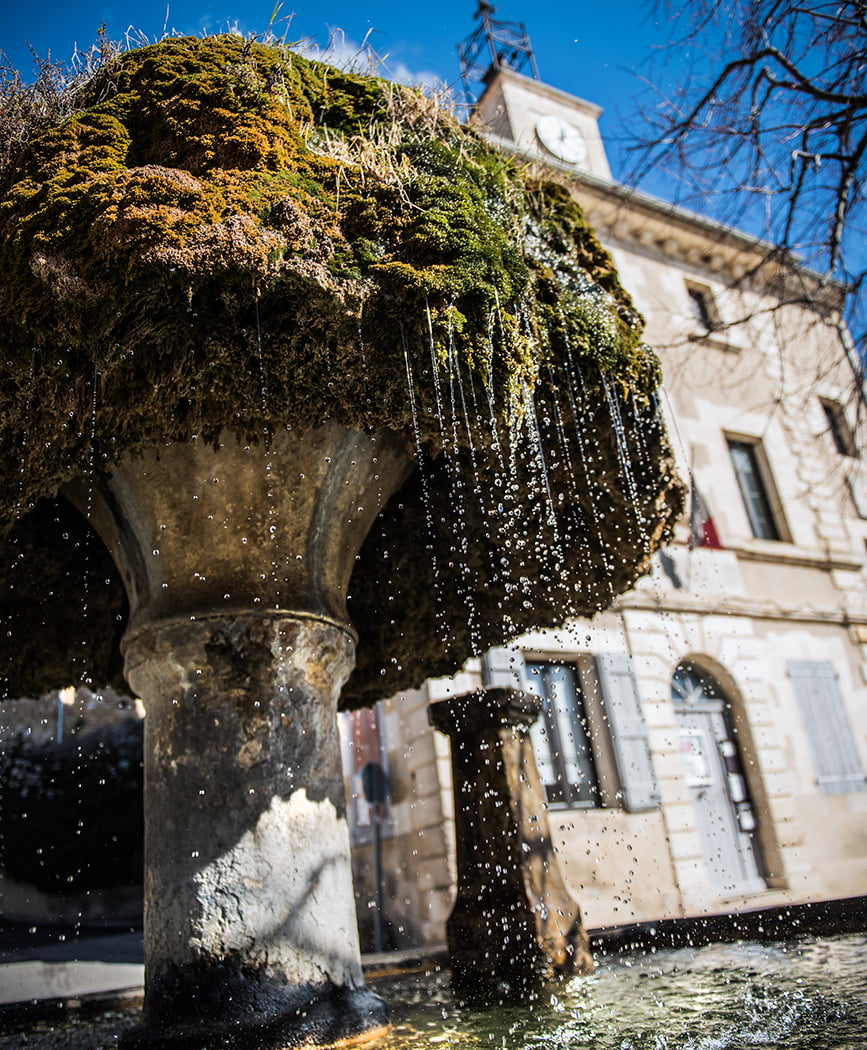 Vaugines 1