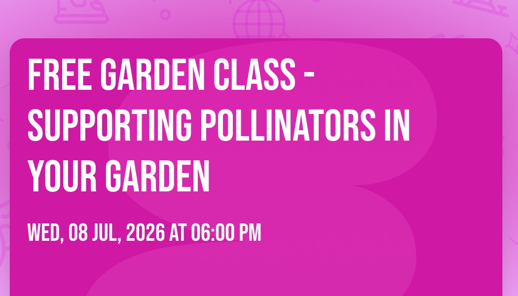 Supporting Pollinators in Your Garden 1