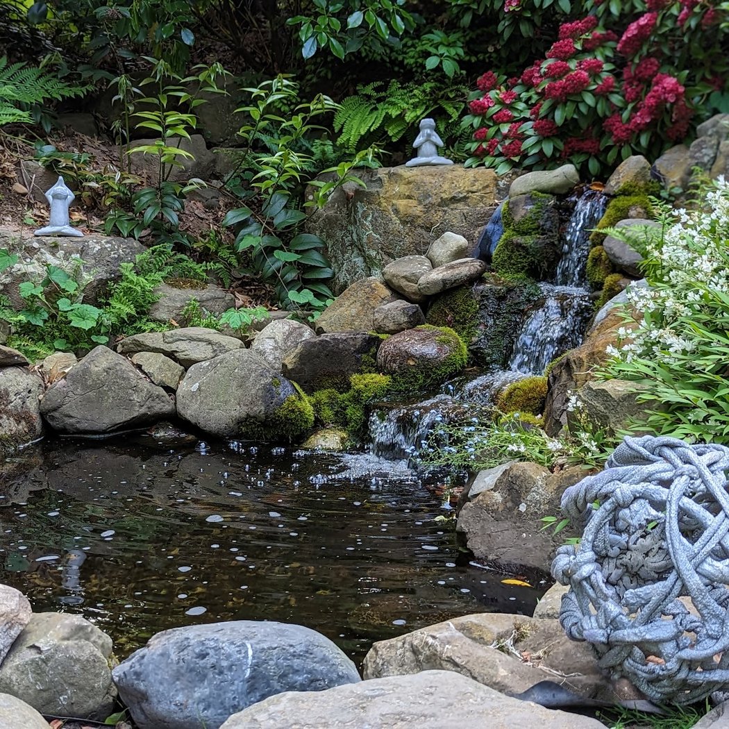 Connection to Nature Yoga 1