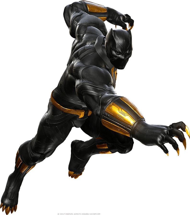 Black Panther Under the Stars 3