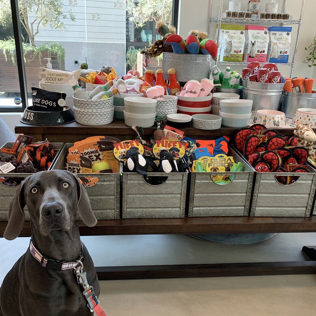 Milo & Friends Pet Boutique 1